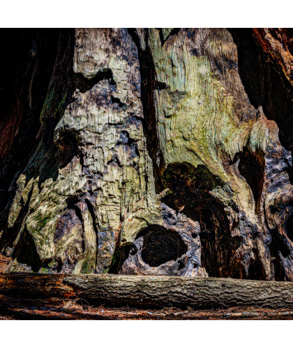 SEQUOIA PARC