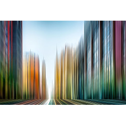 NEW YORK VIII